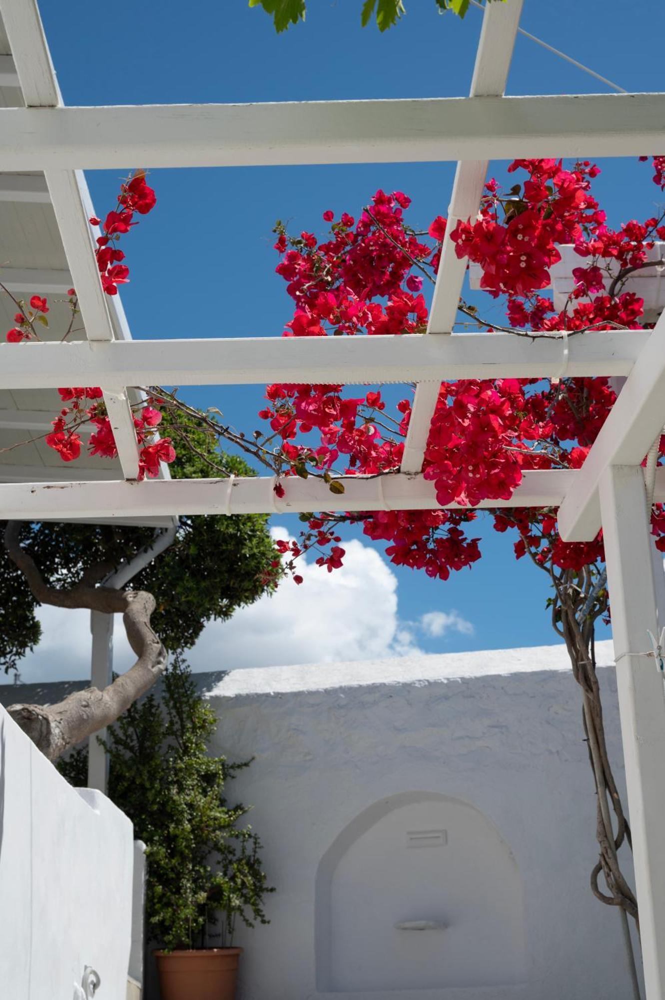 Ξενοδοχείο Boutique Di Vito Mykonos Town